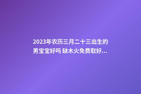 2023年农历三月二十三出生的男宝宝好吗 缺木火免费取好名字